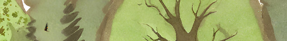 Decorative Element - Page spacer image of green treetops in a watercolor style.