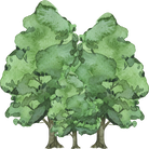 Decorative Element - Watercolor-style evergreen trees.